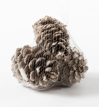 Kongler stor i pose champagne Kongler stor i pose champagne